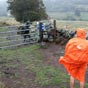 L'Aubrac en automne 2020, mélange de pluie/neige dans la montée du col (crédit photo M. Jérémie).